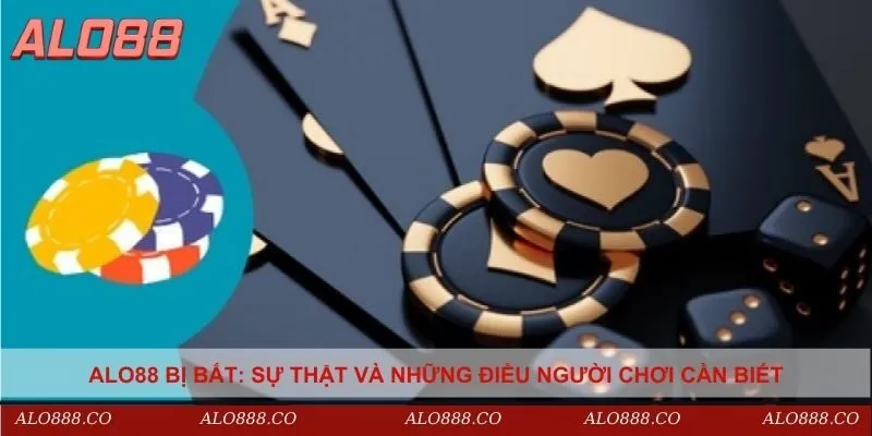 Thông tin Alo88 bị bắt cần được tiếp cận một cách tỉnh táo